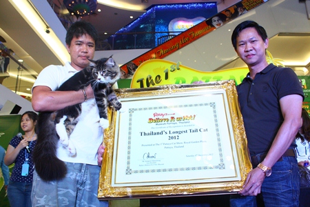 Somporn Naksuetrong (right), vice president of the Royal Garden Plaza & Entertainment, presents the first prize certificate for the cat with the longest tail to Cookie, a Maine Coon Cat with a 37 cm long tail.